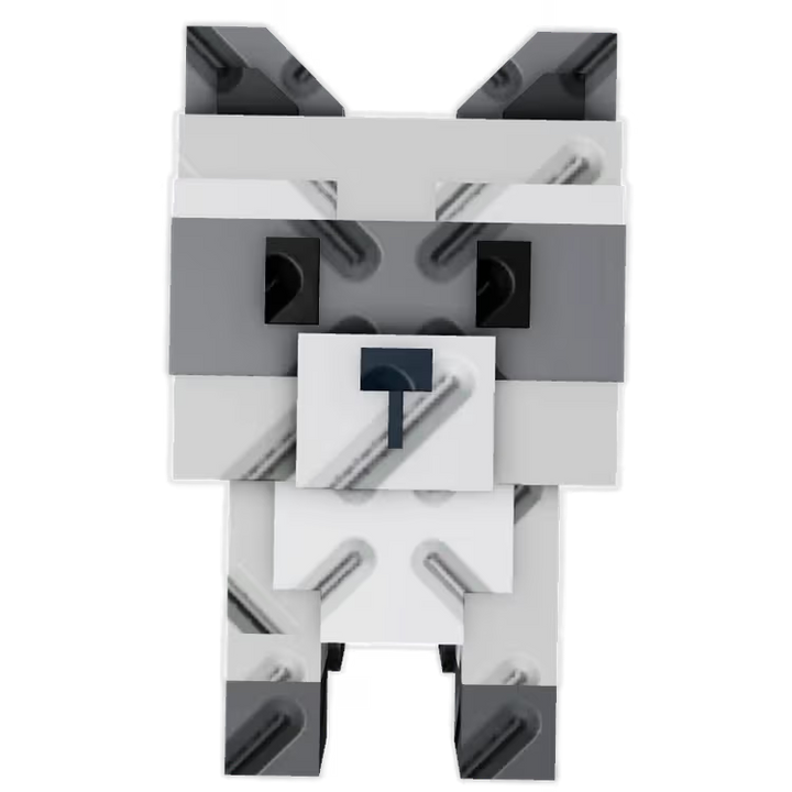Racoon