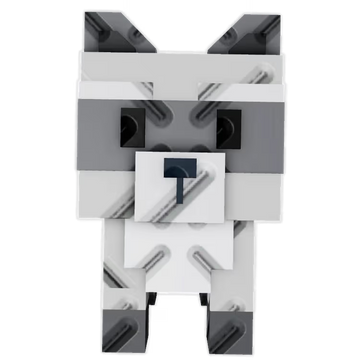 Racoon